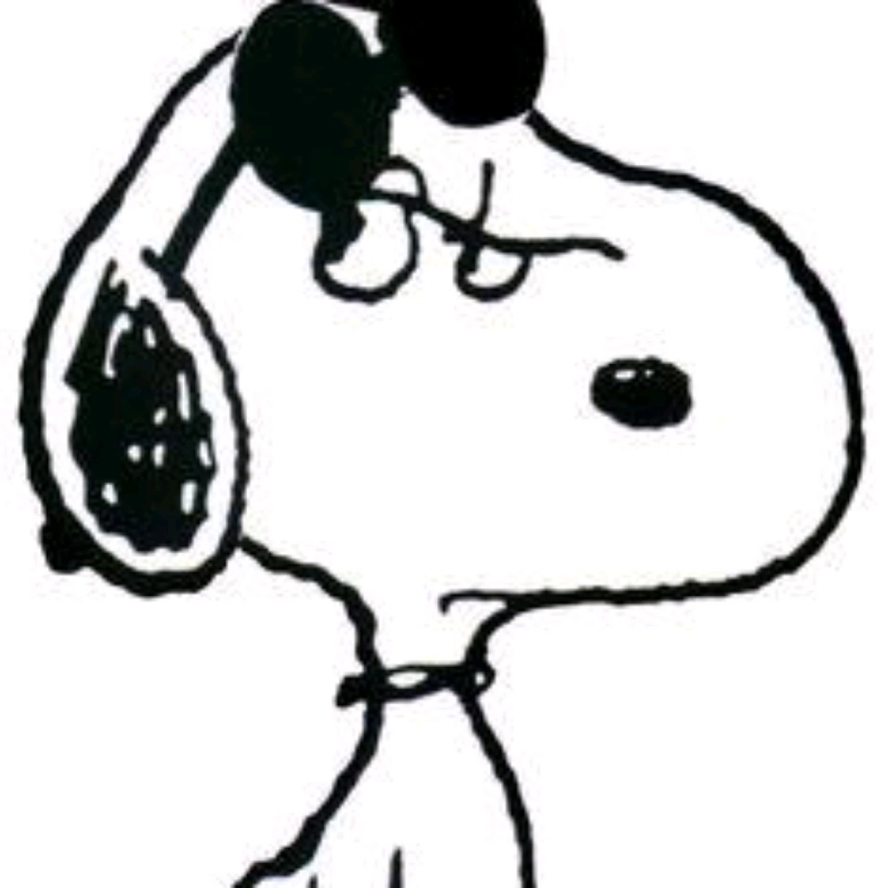 Meet your Posher, Paula